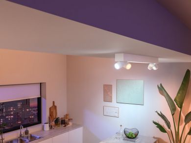 Philips Hue Centris 4-spot, ceiling luminaire, white White and color ambiance 5060731P7 915005928801 | Elektrika.lv