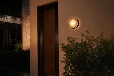 Philips Hue Daylo outdoor wall luminaire, stainless steel 1x15W White and color ambiance 1746547P7 915005843301 | Elektrika.lv