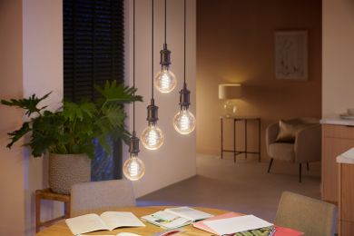 Philips Hue LED bulb 7W Fil G93 EUR E27 White Ambiance 929002477801 | Elektrika.lv