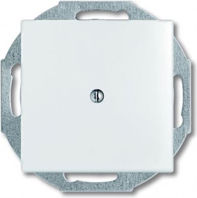 ABB Cover plate white 2527-94-507 basic55 2CKA001710A3772 | Elektrika.lv