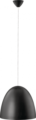 Philips Ceiling lamp 1x42W  MASSIVE 40617/93/16 406179316  PL1 | Elektrika.lv