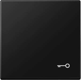 Jung Taustiņš ar atslēgas simbolu, matēts melns, LS LS990TSWM | Elektrika.lv