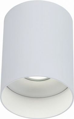 MAYTONI Потолочный светильник Alfa 1 X GU10 (50W) белый C014CL-01W | Elektrika.lv