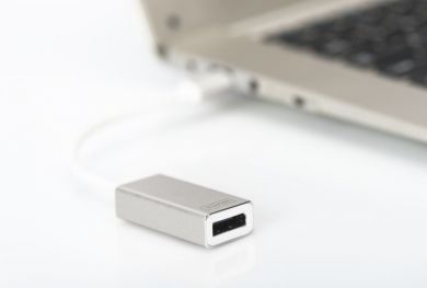 Digitus  DIGITUS USB Type-C 4K DP Adapter, 20cm cable length Aluminum Housing, | Digitus USB Type-C to DisplayPort Adapter | DA-70844 | 0.20 m | White | USB Type-C DA-70844