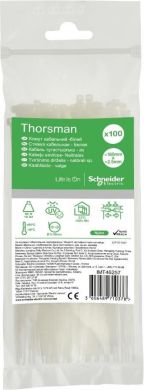 Schneider Electric Cable tie 160x2.5mm, clear, 100 pcs. IMT46257 | Elektrika.lv