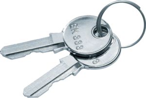 Hager Spare key,univers,for locking FZ531/FZ533/FZ531N/FZ533N FZ539 | Elektrika.lv