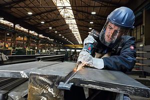 BOSCH Triangular base-plate grinder (electric) 0601229100 | Elektrika.lv