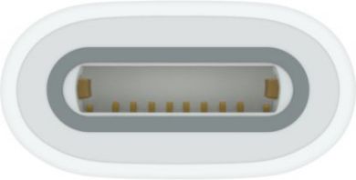 Apple USB-C-Apple Pencil adapter, white MQLU3ZM/A | Elektrika.lv