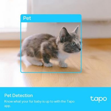 Tp-Link WRL CAMERA 2K QHD PAN/TILT/TAPO C225 TP-LINK TAPOC225 | Elektrika.lv