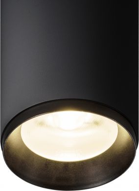 SLV Iekštelpu LED gaismeklis NUMINOS® PD DALI L, 4000K, 28W, 24°, Melns 1004642 | Elektrika.lv