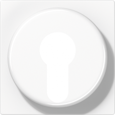 Jung Pārsegs atslēgu slēdzim, balts, AS500 A528PLWW | Elektrika.lv