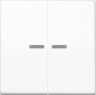 Jung Two gang cover plate with a window for lighting, white AS500W AS591-5KO5WW | Elektrika.lv