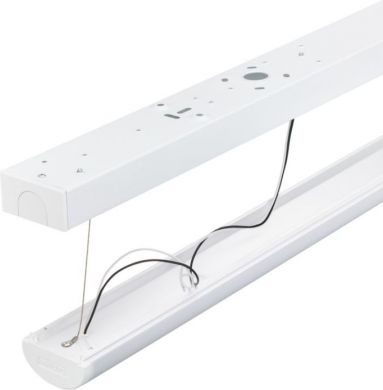 Philips BN126C LED80S/840 PSU L1500 911401834784 | Elektrika.lv