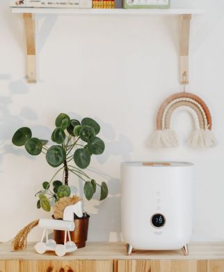 ADLER Adler | AD 7972 | Humidifier | 23 W | Water tank capacity 4 L | Suitable for rooms up to 35 m&sup2; | Ultrasonic | Humidification capacity 150-300 ml/hr | White AD 7972 WHITE