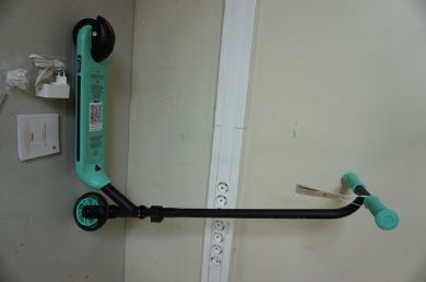 Segway SALE OUT. DEMO,USED Ninebot by Segway eKickscooter ZING A6, Black/Green  Segway | 23 month(s) AA.00.0011.62SO