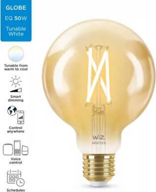 WiZ Умная LED лампочка Wi-Fi BLE 50W G95 E27 920-50 Amb 1PF/6 929003018322 | Elektrika.lv