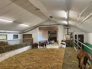 LEDVANCE DAMP PROOF SPECIAL GEN 2 1500 50 W 4000 K WT IP67 4058075452176 | Elektrika.lv