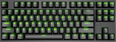 Genesis Genesis | Mechanical Gaming Keyboard | THOR 404 TKL RGB | Mechanical Gaming Keyboard | Wired | US | USB Type-A | 1005 g | Kailh Box Brown V2 NKG-2071