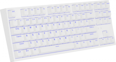 Genesis Genesis | White | Mechanical Gaming Keyboard | THOR 404 TKL RGB | Mechanical Gaming Keyboard | Wired | US | USB Type-A | 1005 g | Kailh Box Brown V2 NKG-2072
