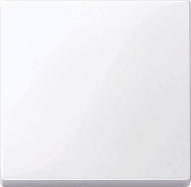Schneider Electric Cover plate, white, antibacterial Merten SystM MTN432125 | Elektrika.lv