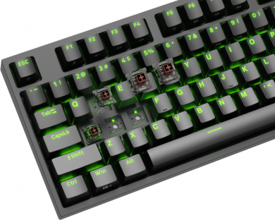 Genesis Genesis | Black | Mechanical Gaming Keyboard | THOR 404 TKL RGB | Mechanical Gaming Keyboard | Wired | US | USB Type-A | 1005 g | Kailh Box Brown V2 NKG-2071