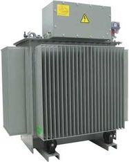 Schneider Electric Current transformer Minera 40/20 Oil-Immeresed Dyn11 4-052501 | Elektrika.lv