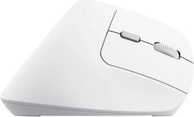 TRUST MOUSE USB OPTICAL WRL BAYO II/ERGO WHT 25398 TRUST 25398 | Elektrika.lv