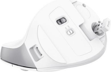 TRUST MOUSE USB OPTICAL WRL BAYO II/ERGO WHT 25398 TRUST 25398 | Elektrika.lv