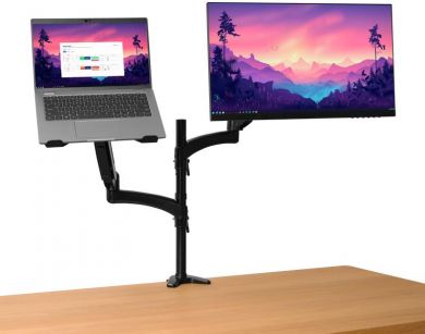 TRUST MONITOR ACC ARM DUAL/MARA 25337 TRUST 25337 | Elektrika.lv