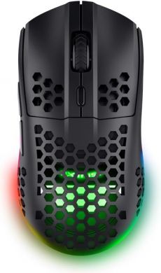 TRUST MOUSE USB OPTICAL WRL GXT929/HELOX LIGHTW BLK 25307 TRUST 25307 | Elektrika.lv