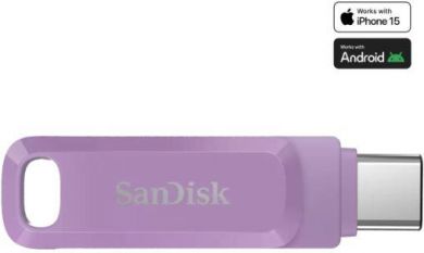 SanDisk MEMORY DRIVE FLASH USB-C 256GB/SDDDC3-256G-G46L SANDISK SDDDC3-256G-G46L | Elektrika.lv