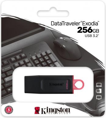 Kingston USB flash USB3.2/256GB, Black DTX/256GB | Elektrika.lv