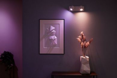 Philips Hue Argenta spot lamp, white 2x4.2W 230V White and Colour Ambiance 929003808001 | Elektrika.lv