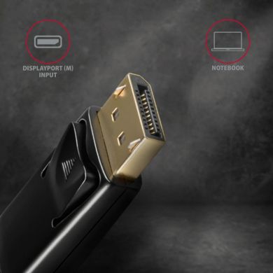 AXAGON AXAGON | Active cable | DisplayPort to HDMI | 1.8 m RVD-HI14C2