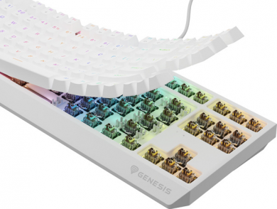Genesis Genesis | THOR 230 | Mechanical Gaming Keyboard | Wired | US | White | USB Type-A | Outemu Brown NKG-2080