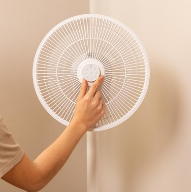 Cecotec Cecotec EnergySilence 2600 Sunflower Portable Battery-powered fan | Stand Fan | Diameter 33 cm | Number of speeds 12 | Oscillation | 22 W | Remote control 8243