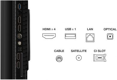 TCL TV Set TCL 65 " 4K Ultra HD 3840 x 2160 pixels Flat 16:9 QLED 65P8K 65P8K | Elektrika.lv