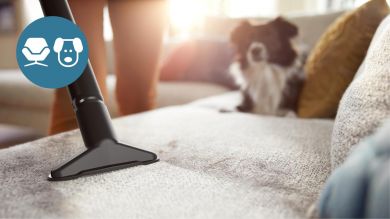 Philips Vacuum Cleaner PHILIPS Input power 800 W Dust capacity 1.3 L Cylinder vacuum Cleaning type Dry Dust container Bagless Colour Black XB1142/10 XB1142/10 | Elektrika.lv