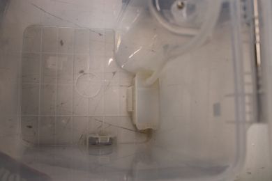 Ecovacs SALE OUT. Ecovacs DEEBOT X5 OMNI Vacuum cleaner, Robot, Wet&Dry, Operating time 164 min, Dust bin 0,25 L, 6400mAh, Black + Auto-empty statio | Ecovacs Robotic Vacuum Cleaner | DEEBOT X5 OMNI | Wet&Dry | Operating time (max) 164 min | Lithium-Ion | 64 DEEBOT X5 OMNI