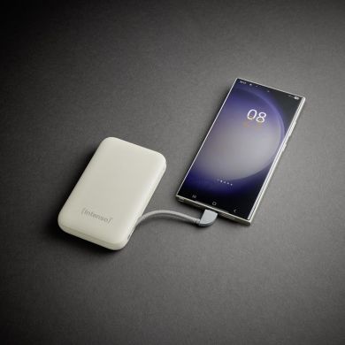 INTENSO POWER BANK USB 10000MAH/BEIGE S10000 7333031 INTENSO 7333031 | Elektrika.lv