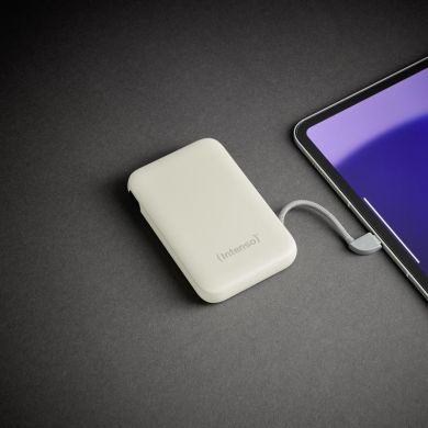 INTENSO POWER BANK USB 10000MAH/BEIGE S10000 7333031 INTENSO 7333031 | Elektrika.lv