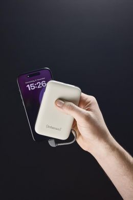 INTENSO POWER BANK USB 10000MAH/BEIGE S10000 7333031 INTENSO 7333031 | Elektrika.lv