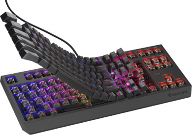 Genesis Genesis | THOR 230 | Mechanical Gaming Keyboard | Wired | US | Black | USB Type-A | Outemu Brown NKG-2079