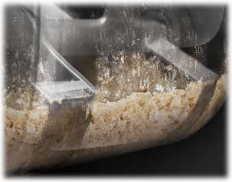 Philips Philips Pasta Maker | HR2665/96 | 200 W | Number of speeds 1 | Bowl capacity 0.8 L | Black HR2665/96