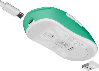Fury Fury | Gaming Mouse | Tanto T4 | Wired/Wireless | 2.4 GHz, Bluetooth, USB | Mint NFU-2205