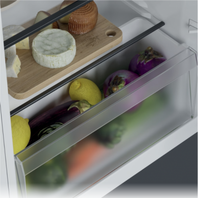 Candy Candy Refrigerator | CNOQ2S58EW | Energy efficiency class E | Free standing | Larder | Height 85 cm | Fridge net capacity 100 L | Freezer net capacity 14 L | 37 dB | White CNOQ2S58EW