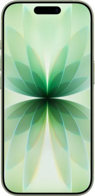 Apple MOBILE PHONE IPHONE 17/256GB SAGE MG6N4 APPLE MG6N4HX/A | Elektrika.lv