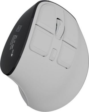 Natec Natec Mouse | Euphonie Pro | Wireless | 2.4 GHz, Bluetooth | White NMY-2378