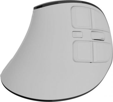 Natec Natec Mouse | Euphonie Pro | Wireless | 2.4 GHz, Bluetooth | White NMY-2378