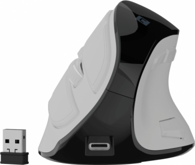 Natec Natec Mouse | Euphonie Pro | Wireless | 2.4 GHz, Bluetooth | White NMY-2378